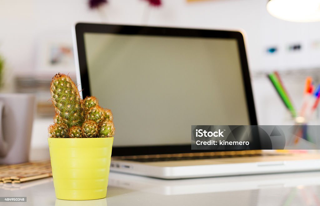 Cactus on the office desk with computer Cactus on the office desk with computer. Modern creative workspace. 2015 Stock Photo