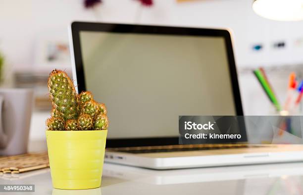 Cactus On The Office Desk With Computer Stock Photo - Download Image Now - 2015, Business, Cactus