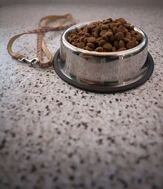 petfood and collar on the black and white floor