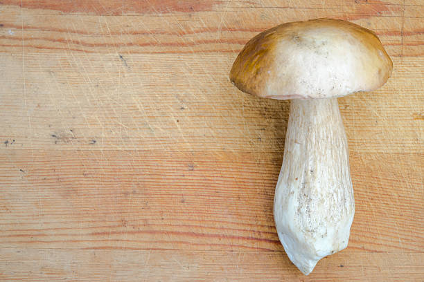istock Boletus Mushroom on a wooden background. 484951872