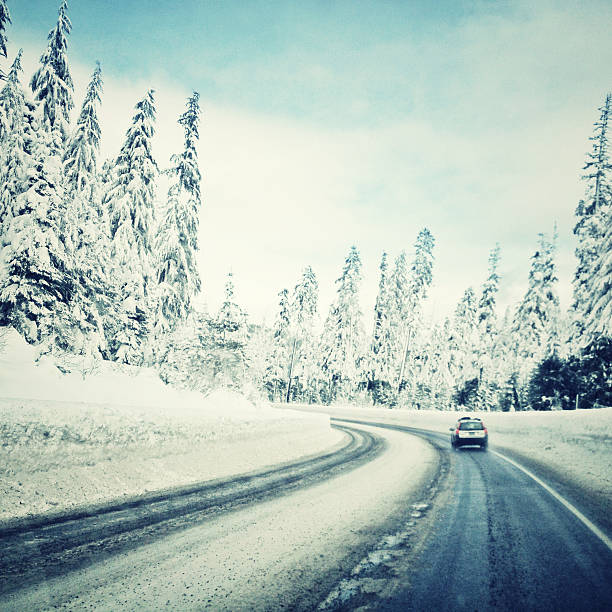 istock Road through a Winter Wonderland 484951885