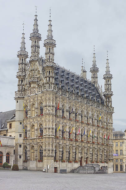 istock Medieval Town Hall in Leuven, Belgium 484952024