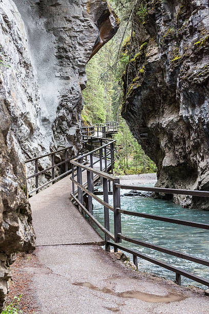 istock the river and the catwalk in Johnston Canyon 484955572