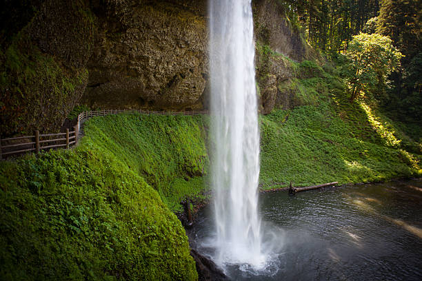 Silver Falls State Park is a state park in the U.S. state of Oregon, located near Silverton, about 20 miles (32 km) east-southeast of Salem. It is the largest state park in Oregon with an area of more than 9,000 acres, and it includes more than 24 miles  of walking trails, 14 miles  of horse trails, and a 4-mile  bike path. Its 8.7-mile  Canyon Trail/Trail of Ten Falls runs along the banks of Silver Creek and by ten waterfalls, from which the park received its name.