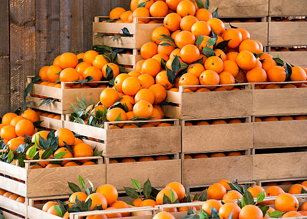 hölzerne tragekörbe frische reife orangen - crate stock-fotos und bilder
