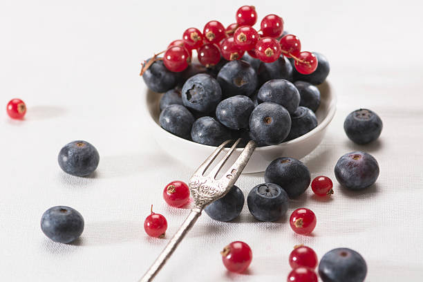 Blueberries and red currants stock photo