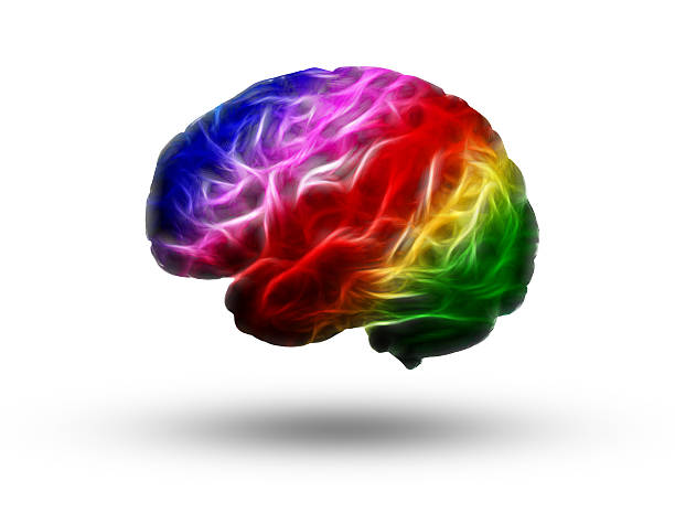 カラフルなフラクタル brain - medulla oblongata ストックフォトと画像