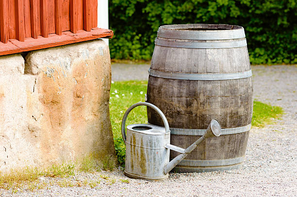 istock Wooden barrel and watering can 484964518