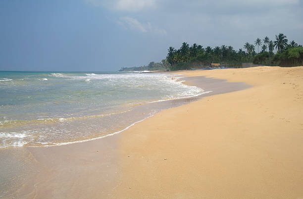 istock Picturesque  tropical beach. Sri Lanka 484964822
