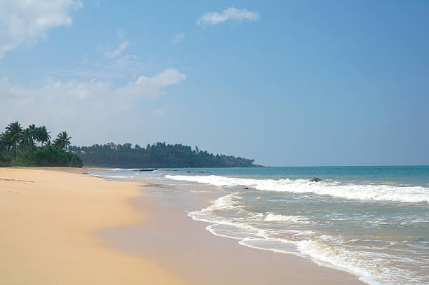 istock Picturesque  tropical beach. Sri Lanka 484964824