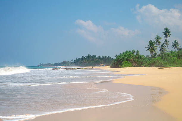 istock Picturesque  tropical beach. Sri Lanka 484964838