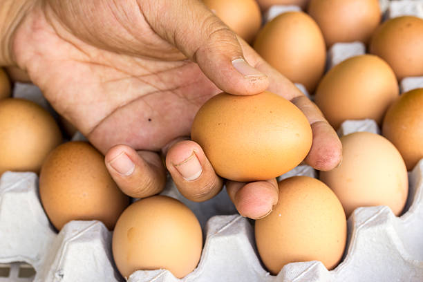 istock Eggs preserved in man hand and panel wholesale market 484965648