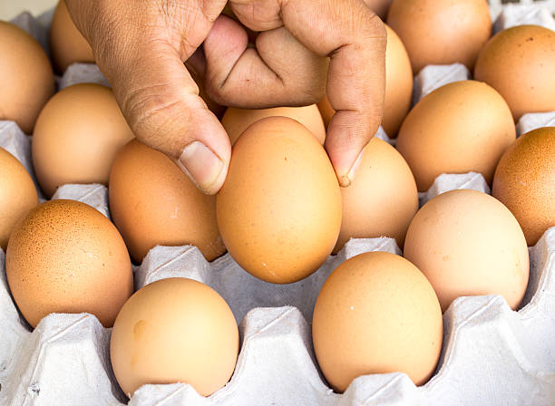 istock Eggs preserved in man hand and panel wholesale market 484965650