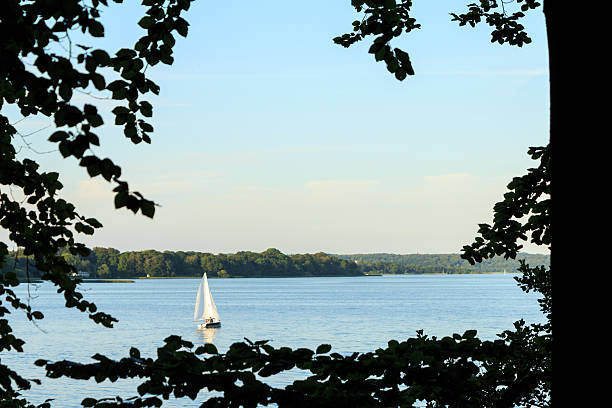 istock Sailboat in the water with trees in the foreground 484966108