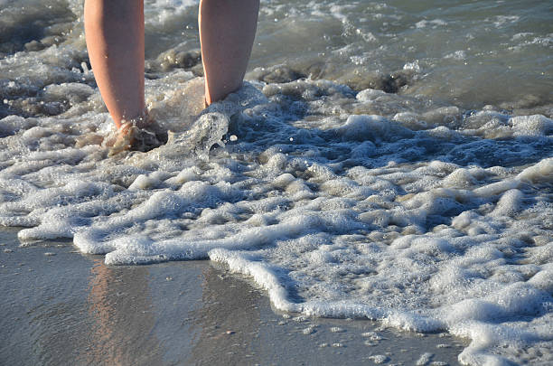 Wading On A Sandy Beach stock photo