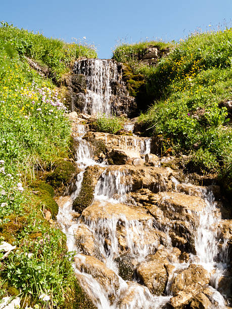Noontime creek in the summer highland