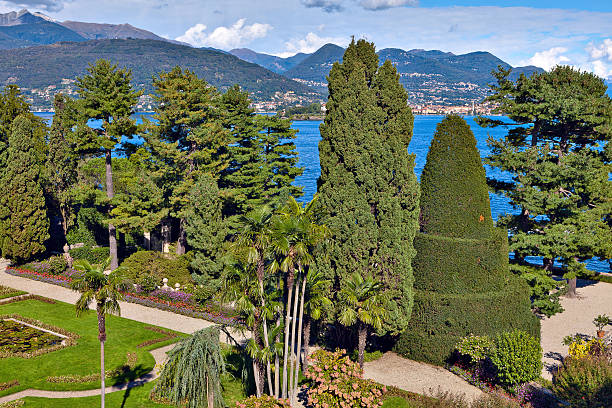 istock Isola Bella Island, Italy 484968346