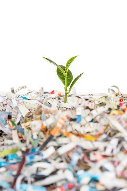 istock Young green plant in stack of scrap paper 484968786