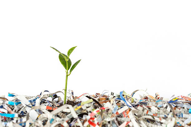 istock Young green plant in stack of scrap paper 484968794