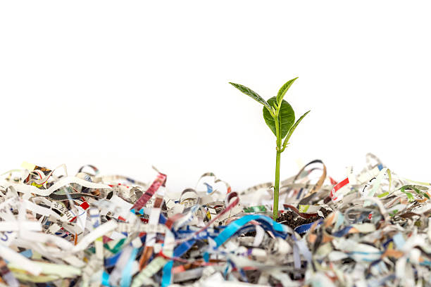 istock Young green plant in stack of scrap paper 484968806