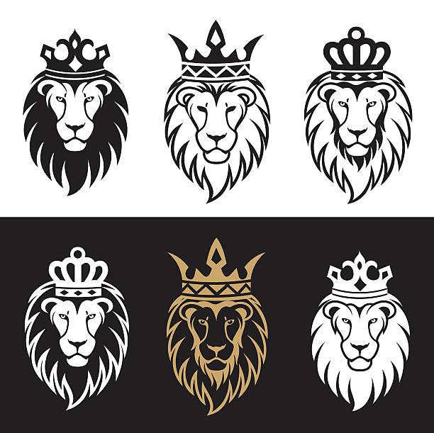 illustrazioni stock, clip art, cartoni animati e icone di tendenza di lion2 - pride of lions