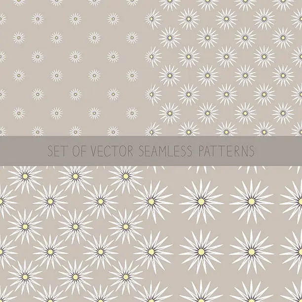 Vector illustration of Set of seamless patterns with camomile.