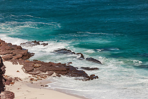 À beira-mar - foto de acervo