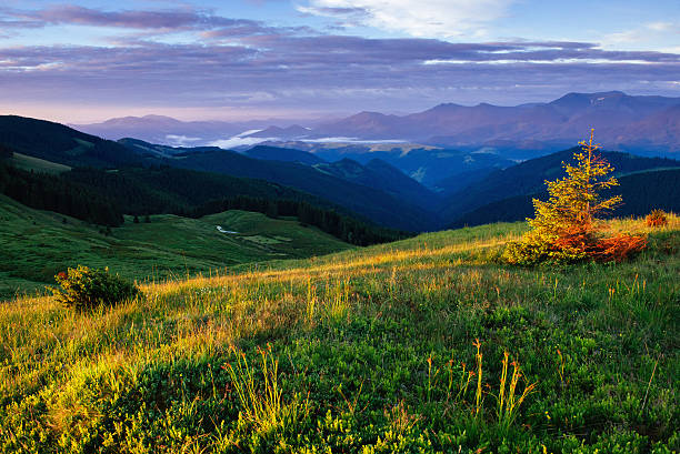 las sosnowy - mountain landscape rock european alps zdjęcia i obrazy z banku zdjęć