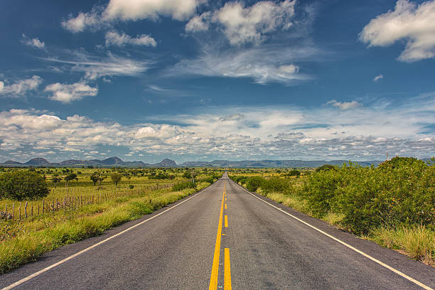 estrada nr wewnętrzne da bahia-brazylia - road zdjęcia i obrazy z banku zdjęć