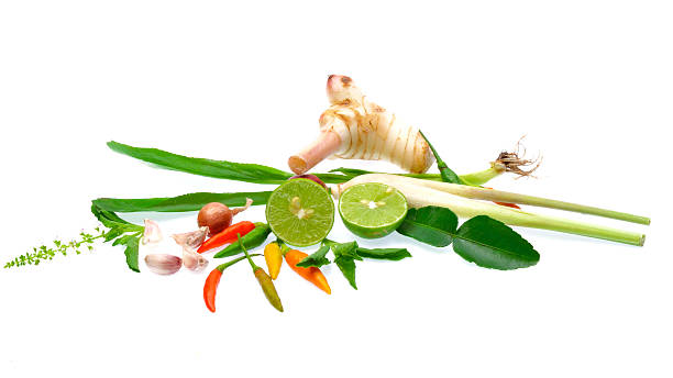 istock Fresh herbs and spices isolated on white background 484978530