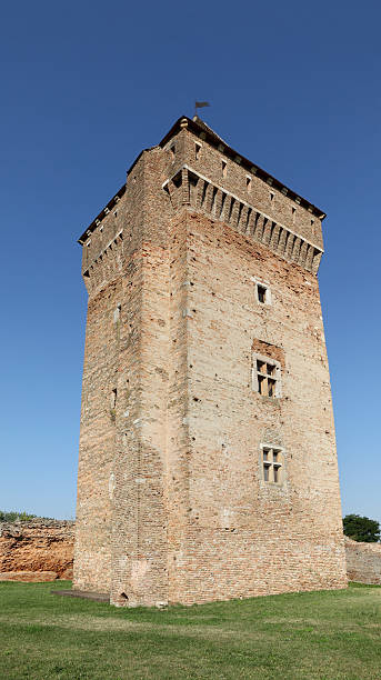 istock Bac fortress, Serbia, Europe 484987796