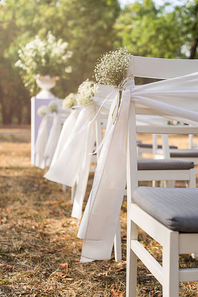 istock Wedding aisle in nature 484993226