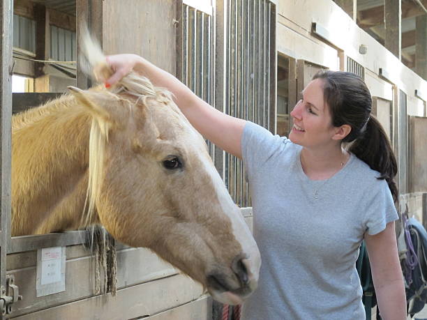 istock Animals: Woman laughing petting horse 484994568