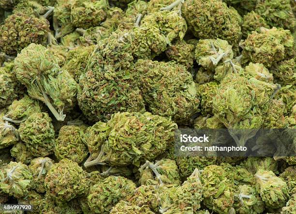 Medical Marijuana Dried And Ready For Use Stock Photo - Download Image Now - Cannabis Plant, Bud, Cannabis - Narcotic