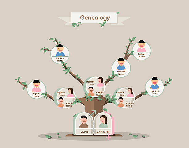 Genealogical tree. Family tree in flatdesign. Pedigree template. Genealogical tree. Family tree in flatdesign. Pedigree template. vector design. family tree chart stock illustrations