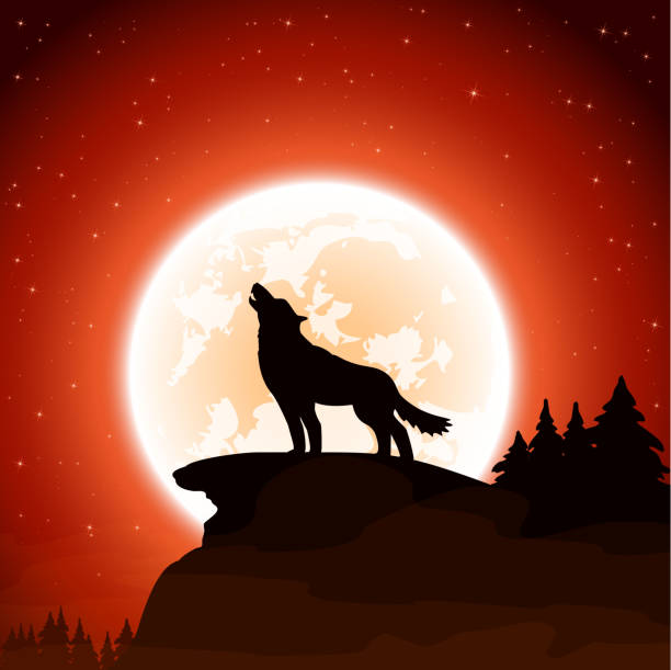 オオカミと月の空を背景に - wolf coyote howling dog点のイラスト素材／クリップアート素材／マンガ素材／アイコン素材