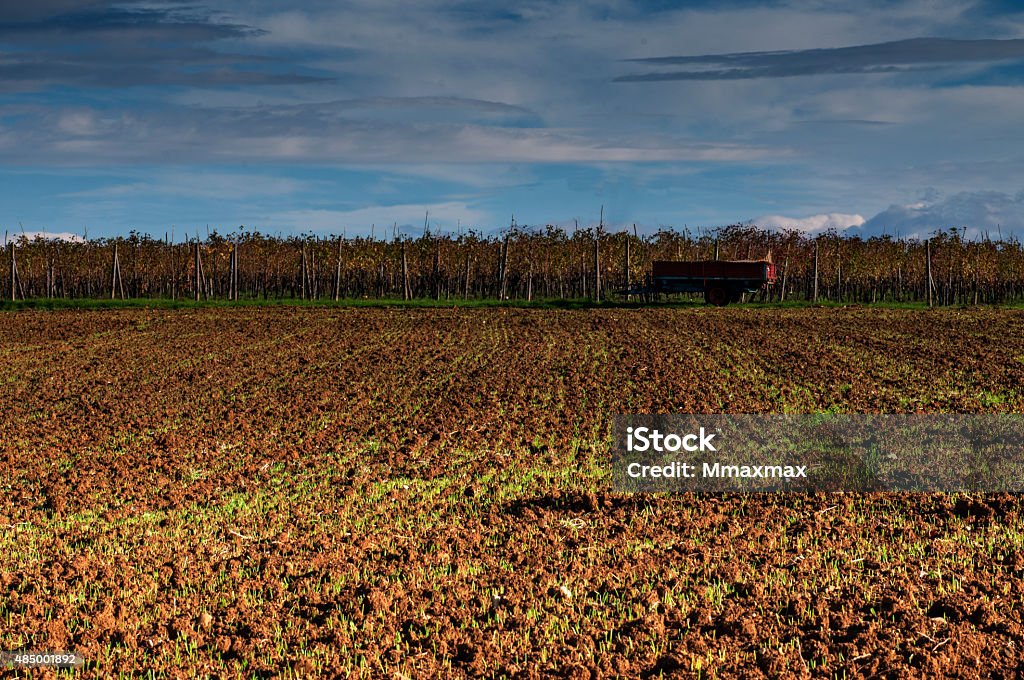Field with vineyard Arable field with vineyard in Chianti 2015 Stock Photo