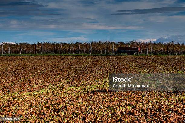 Field With Vineyard Stock Photo - Download Image Now - 2015, Agricultural Field, Agricultural Machinery