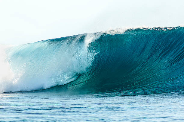 istock Tube Wave in Formation at Teahupoo Beach 485002138