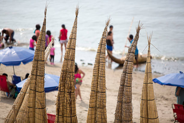 на totora лошадей в huanchaco пляж, перу - huanchaco стоковые фото и изображения