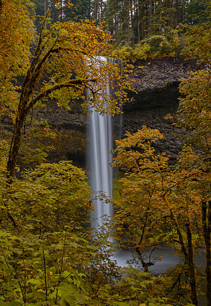 istock South Falls in Autumn 485010488