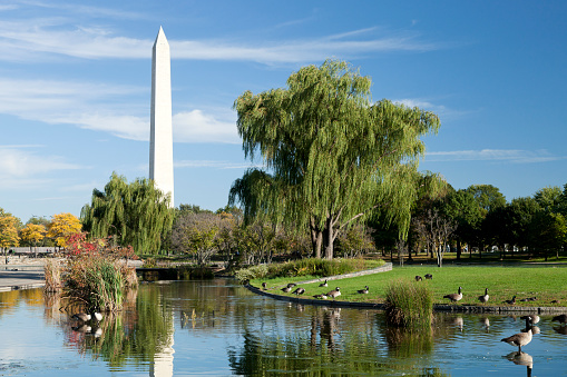 Washington Monument towers above the National Mall with Lincoln Memorial Reflecting Pool on a clear summer day in Washington, D.C.