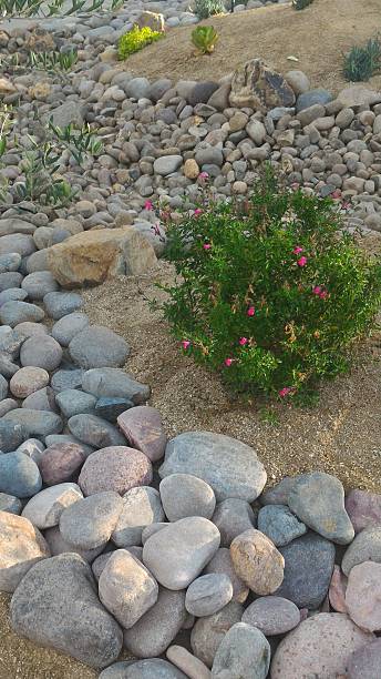 istock Xeriscaped Front Yard with Dry Creek Bed 485012172