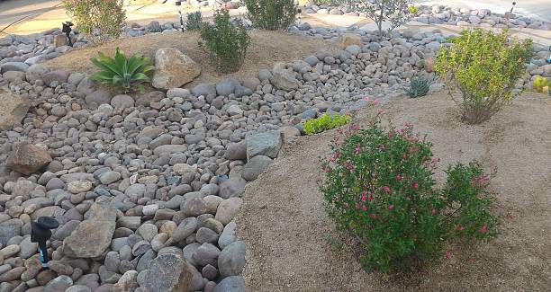 istock Xeriscaped Front Yard with Dry Creek Bed and Solar Lighting 485012516