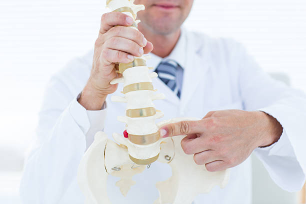 istock Doctor showing anatomical spine 485013040