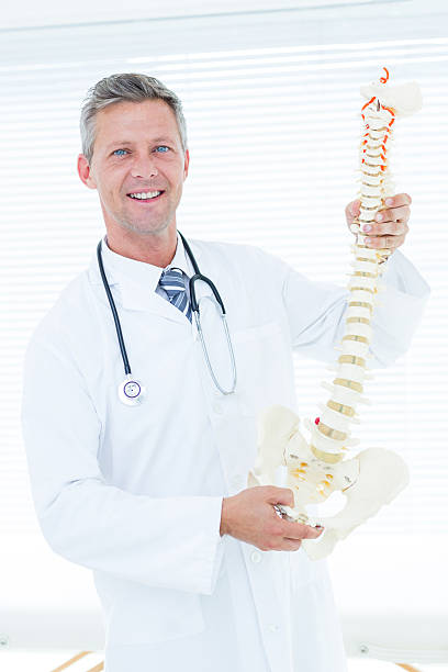 istock Doctor holding anatomical spine and smiling at camera 485013080