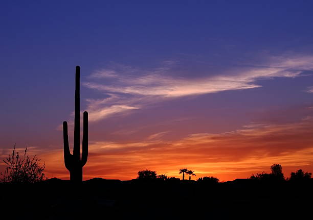 закат в wild west - arizona phoenix desert tucson стоковые фото и изображения