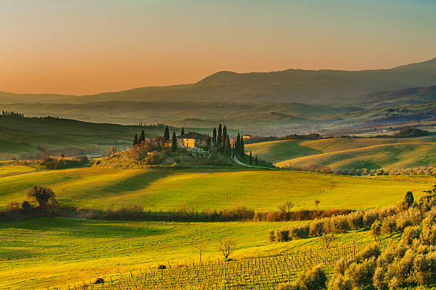 istock Sunny landscapes and beautiful mornings on the fields in Tuscany 485017727