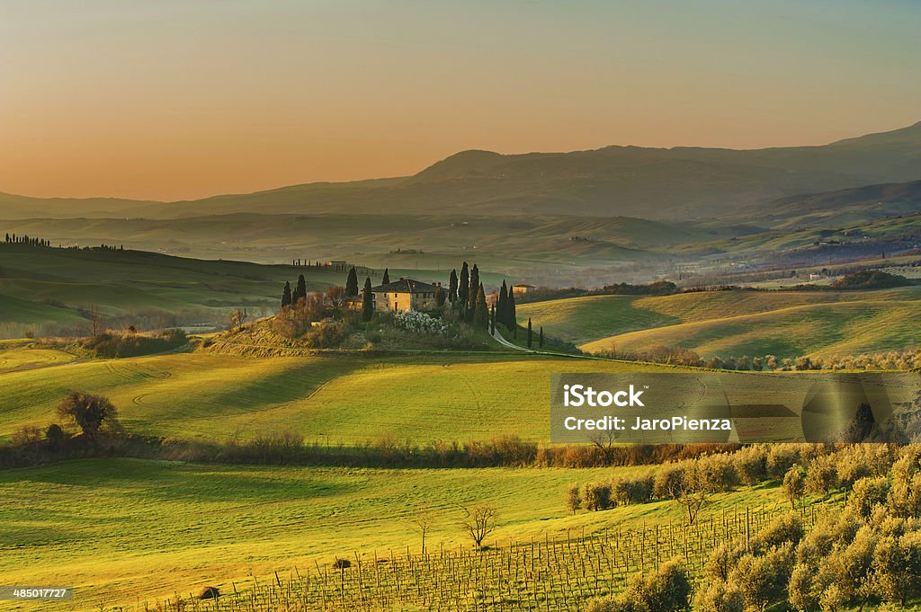 Sunny landscapes and beautiful mornings on the fields in Tuscany Sunny landscapes and beautiful mornings on fields located near Pienza. Between Siena and Rome, Italy Backgrounds Stock Photo