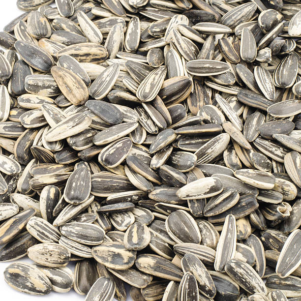 istock sunflower seeds isolated on white 485019423